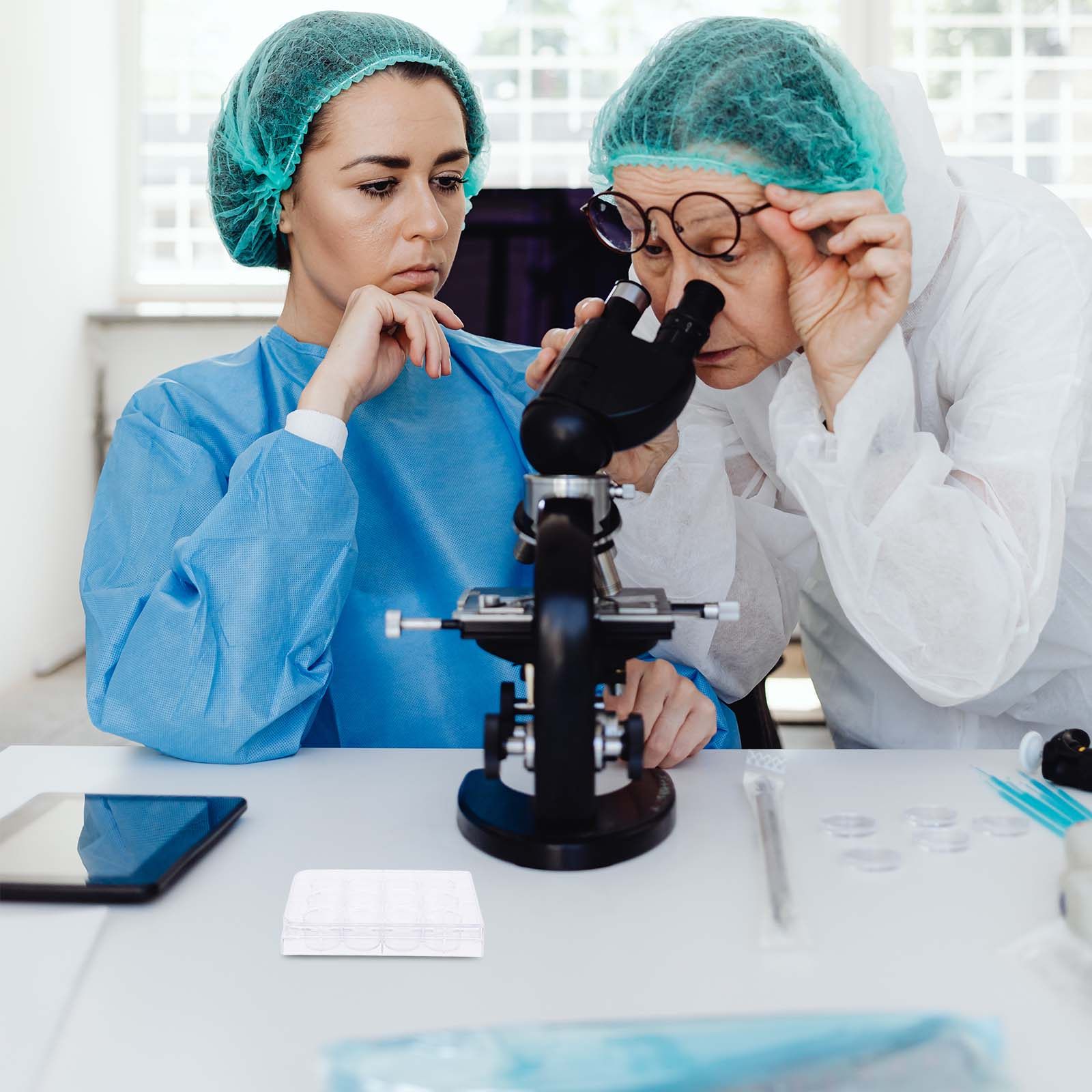 Lab Equipment - 12-Loch-Zellkulturplatte Gewebekulturbehälter Laborausrüstung für Experimente Stabil