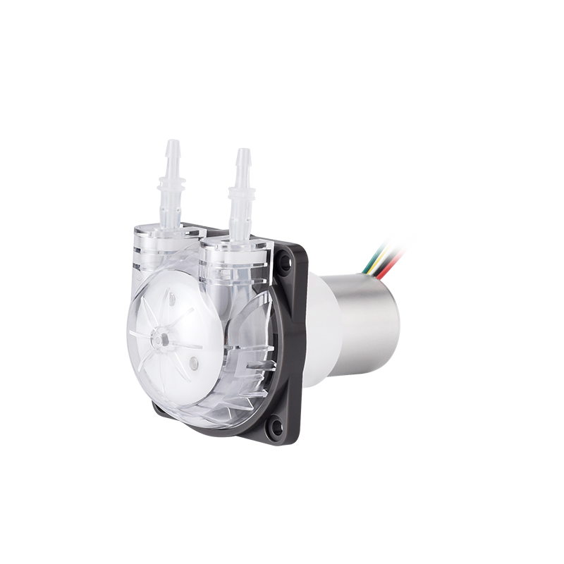 PENGPU Mikro-Peristaltikpumpe  – Mini Peristaltic Pump 12V Bewertung und Preis