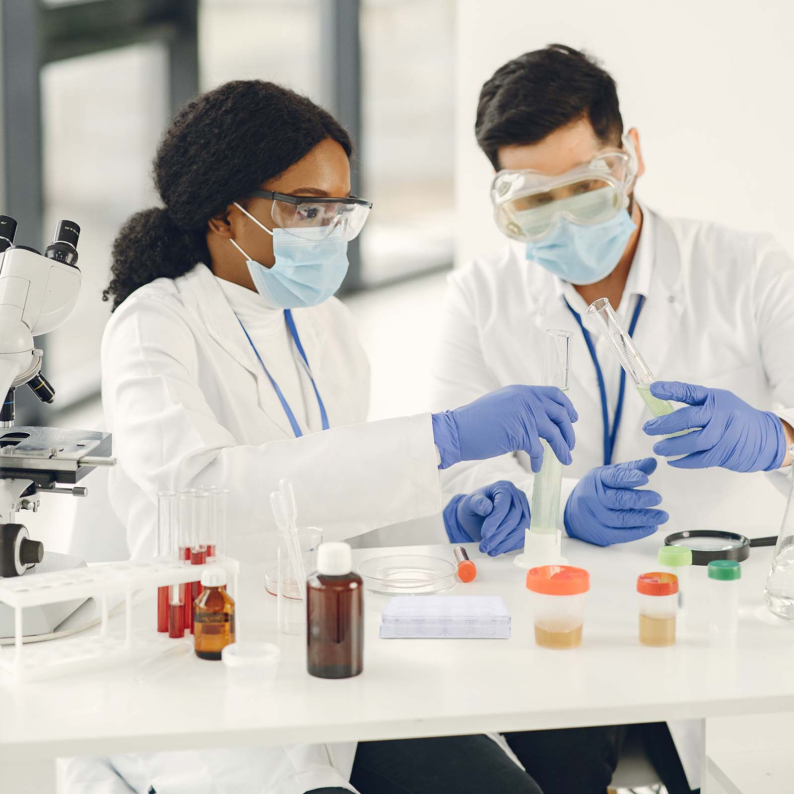 12-Loch-Zellkulturplatte Geweb – Lab Equipment Bewertung und Preis