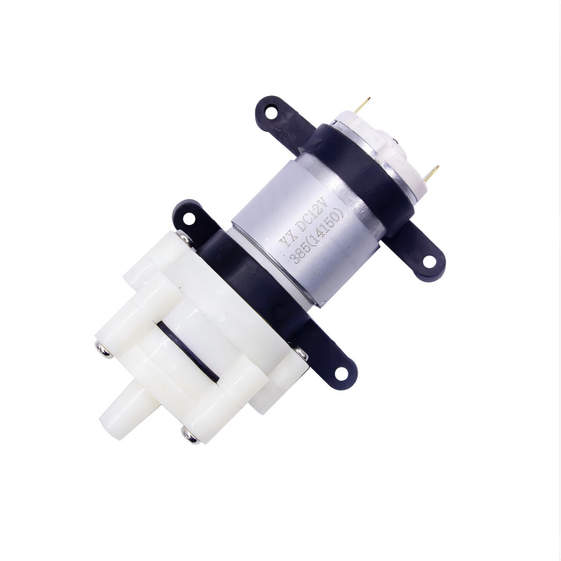 R365 Membran-Wasserpumpe DC 12 – Mini Peristaltic Pump 12V Bewertung und Preis