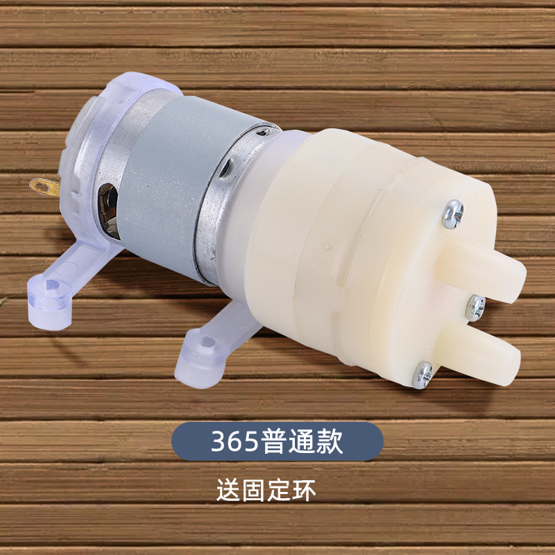 R365 Membran-Wasserpumpe DC 12 – Mini Peristaltic Pump 12V Bewertung und Preis